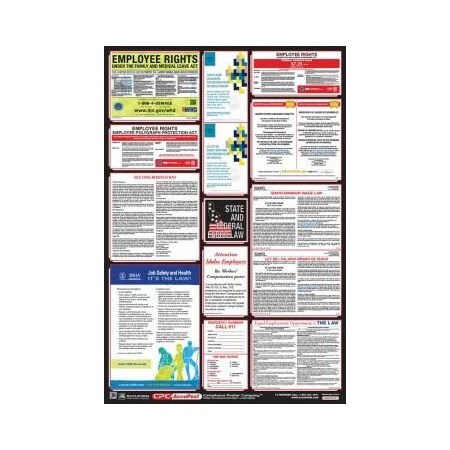 OSHA SAFETY POSTER COMBO STATE, PPG300ID